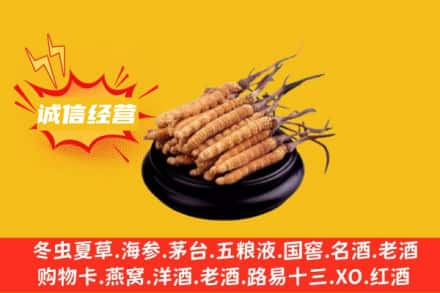 晋州市回收冬虫夏草